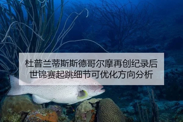 杜普兰蒂斯斯德哥尔摩再创纪录后 世锦赛起跳细节可优化方向分析
