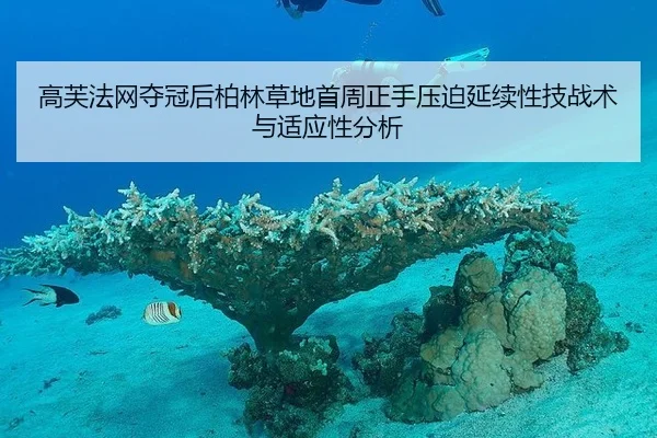 高芙法网夺冠后柏林草地首周正手压迫延续性技战术与适应性分析