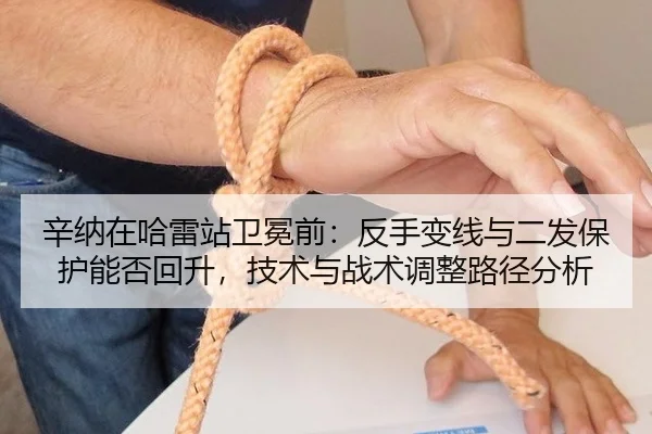 xin-na-zai-ha-lei-zhan-wei-mian-qian-fan-shou-bian-xian-yu-er-fa-bao-hu-neng-fou-hui-sheng-ji-shu-yu-zhan-shu-tiao-2-808.jpg