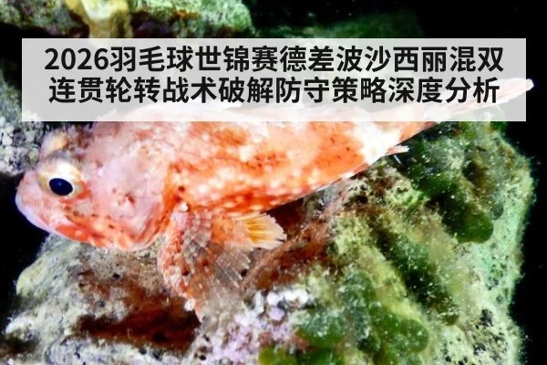 2026羽毛球世锦赛德差波沙西丽混双连贯轮转战术破解防守策略深度分析